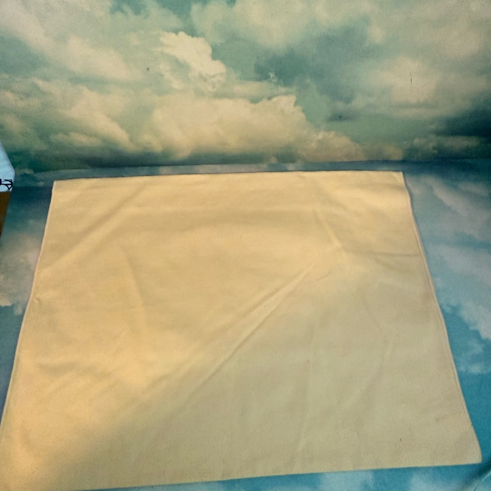 Louis Vuitton Dustbag 18x14 - Picture 2 of 2